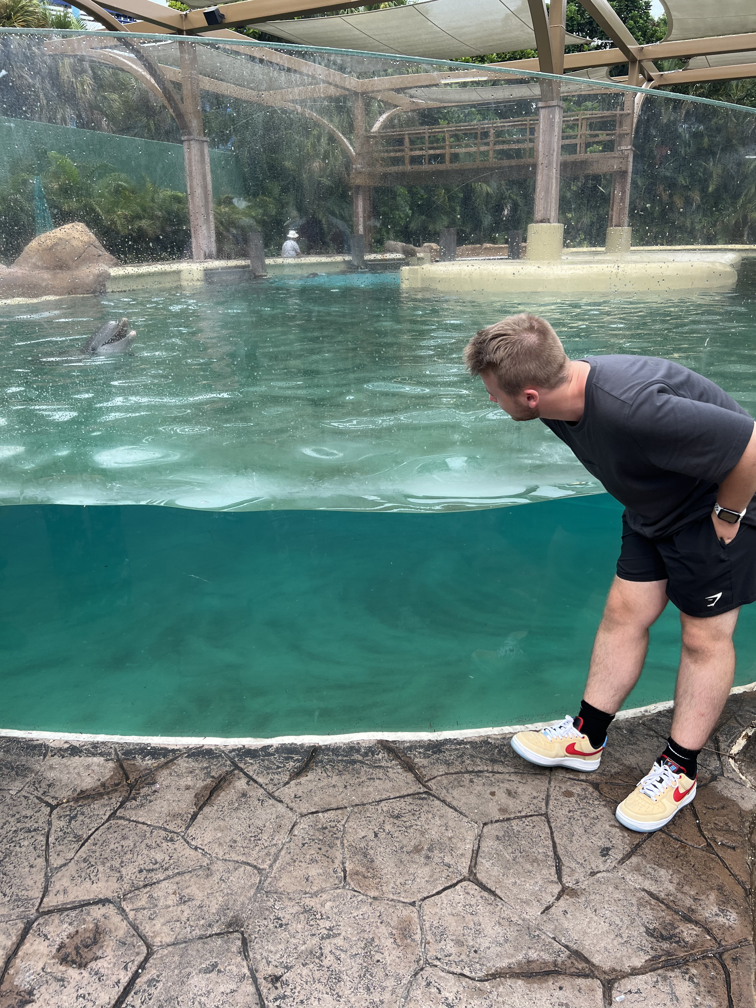 Kai looking into a dolphin tank at SeaWorld Orlando